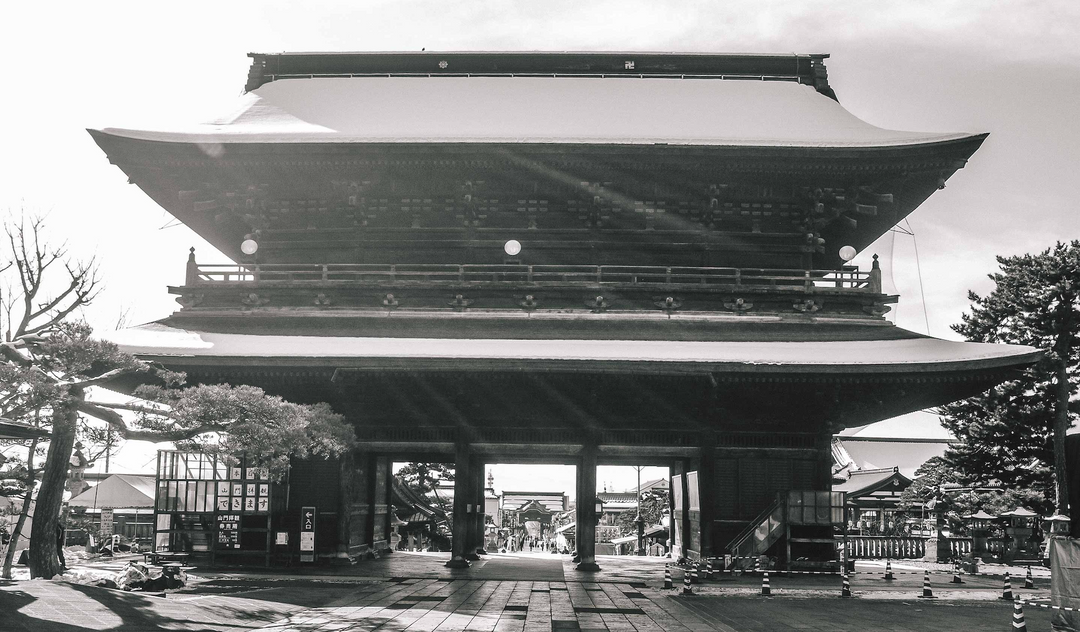 Have you been reborn lately?