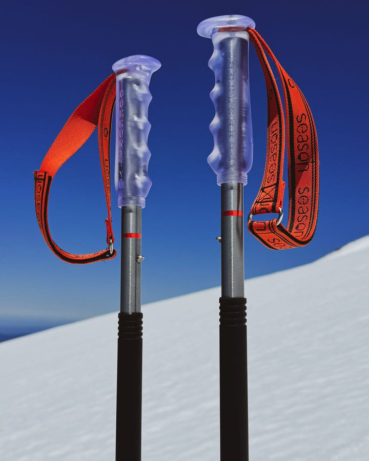 Multi-Tool Ski Poles