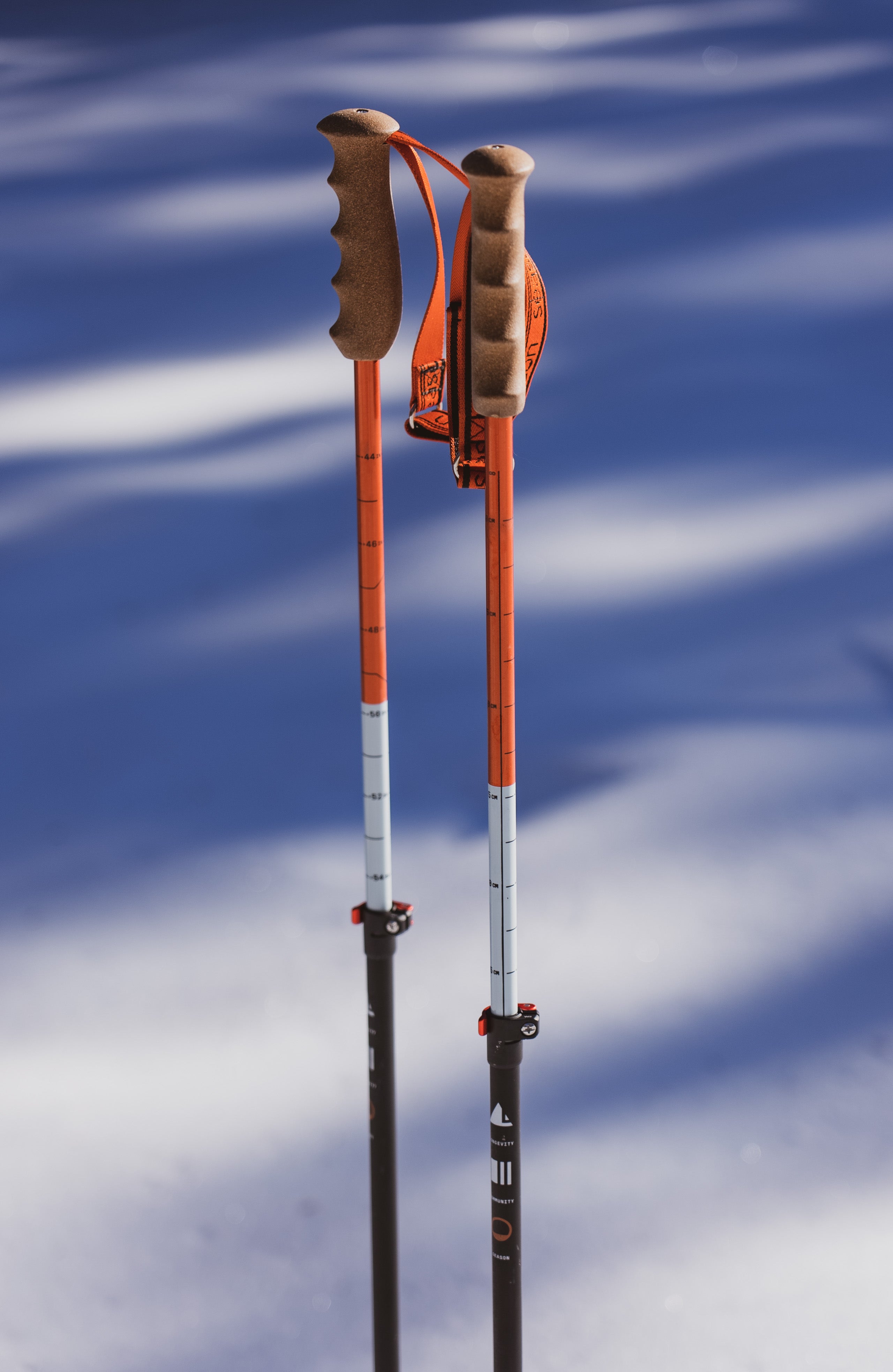 best adjustable cross country ski poles Season Adjustable Ski Poles | black