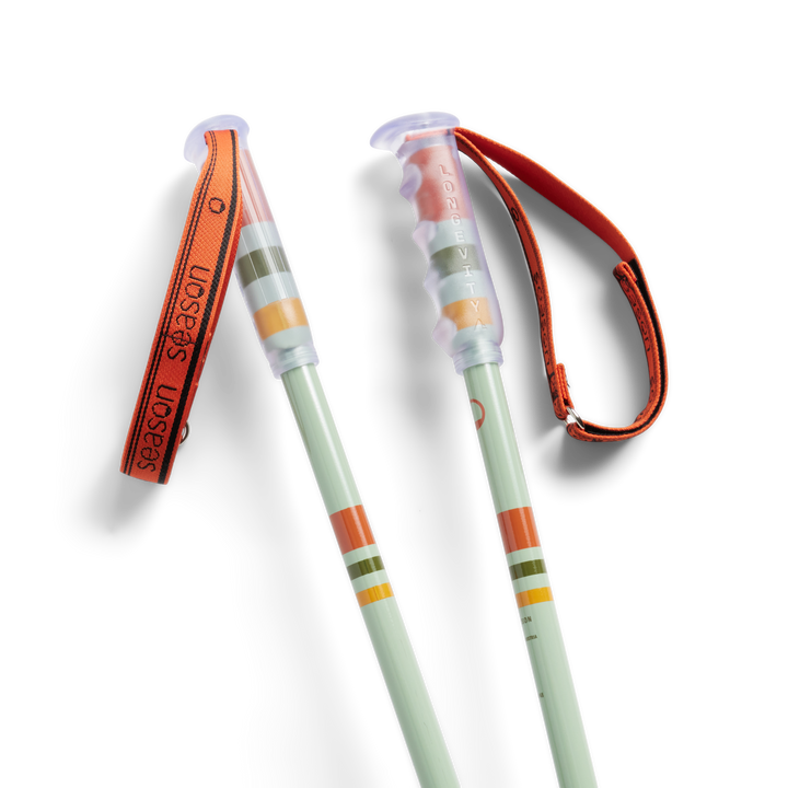 Community Ski Poles