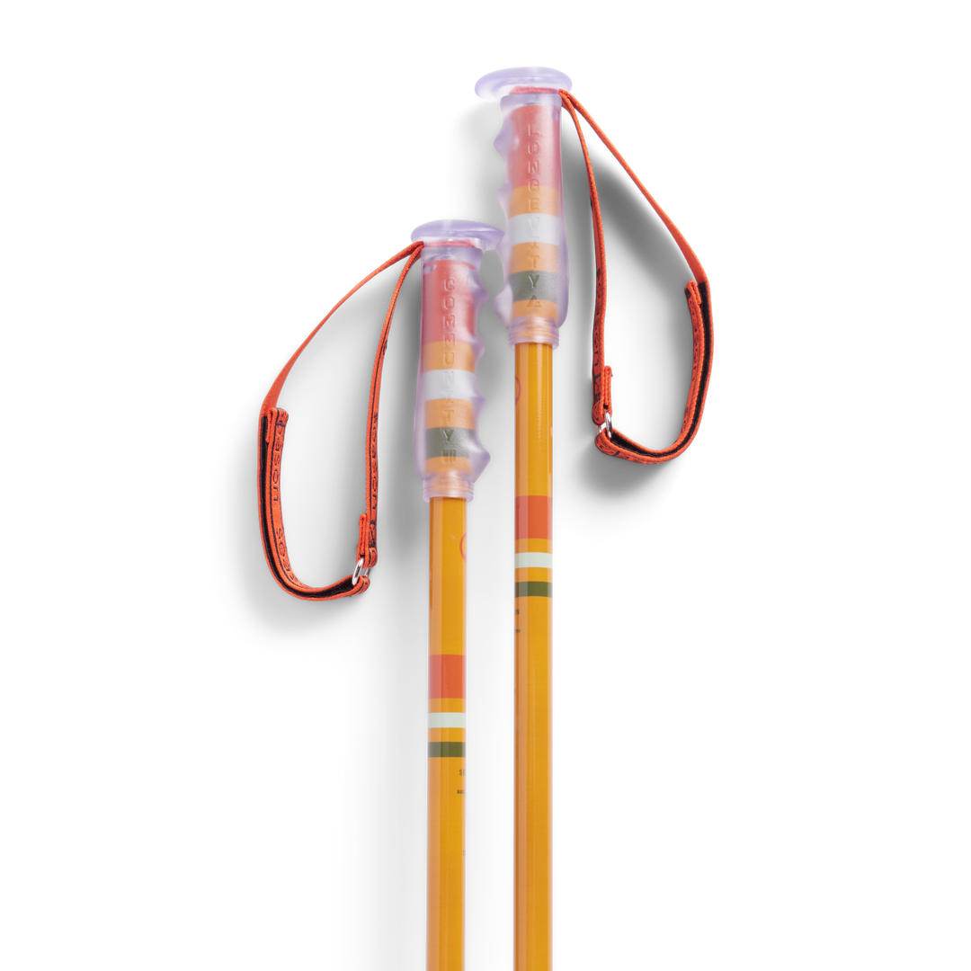Community Ski Poles