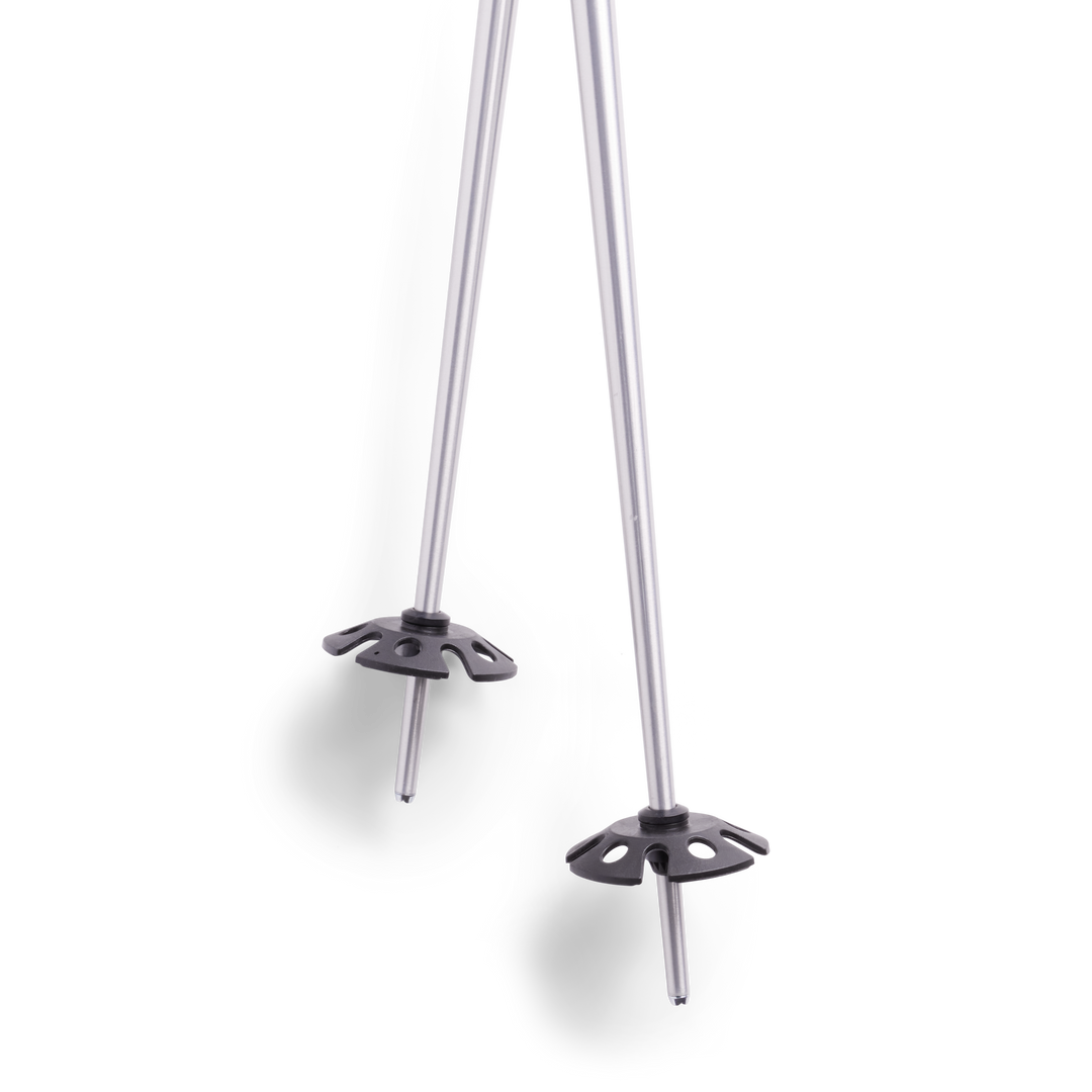 Community Ski Poles