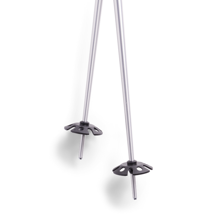 Community Ski Poles