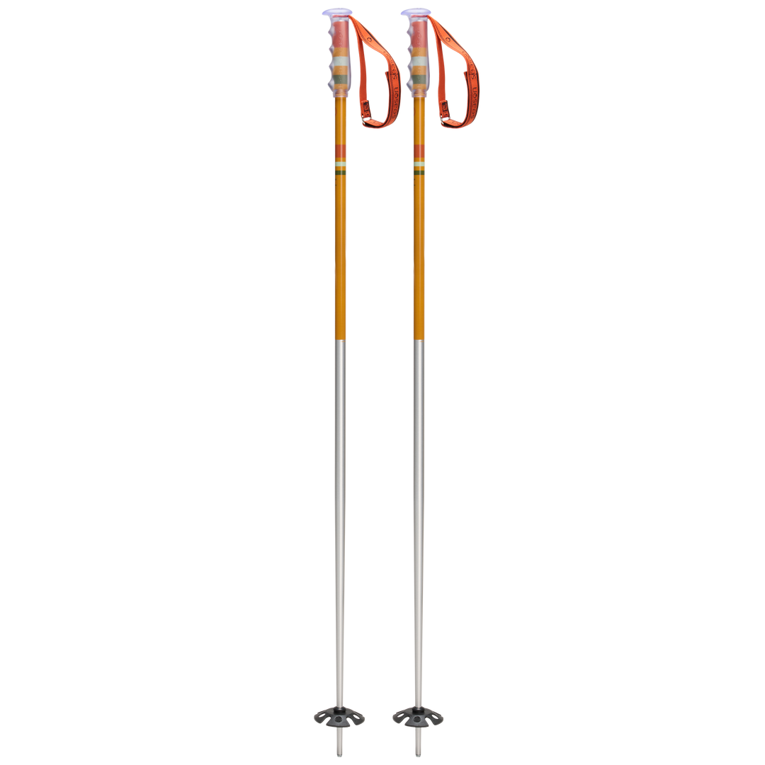 Community Ski Poles