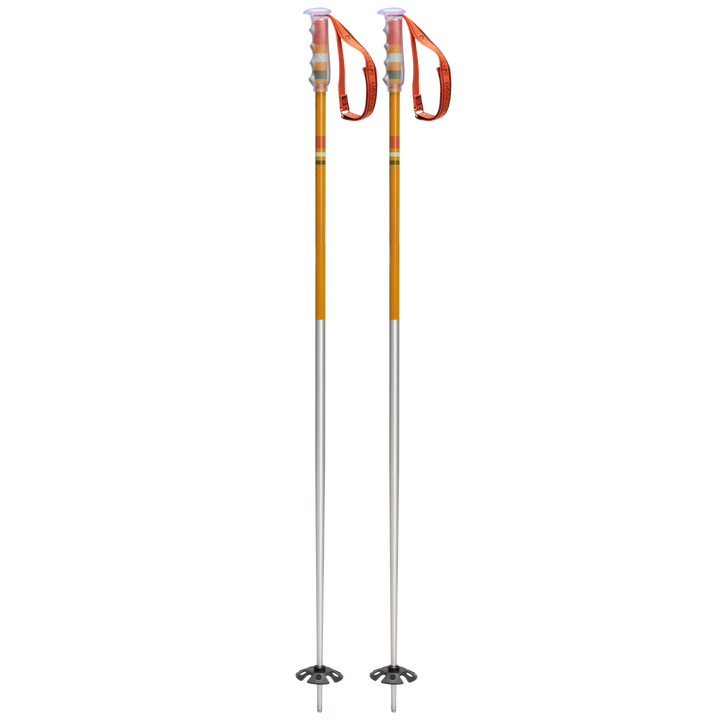 Community Ski Poles