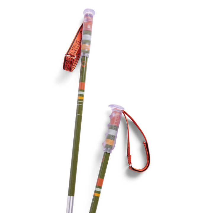 Community Ski Poles