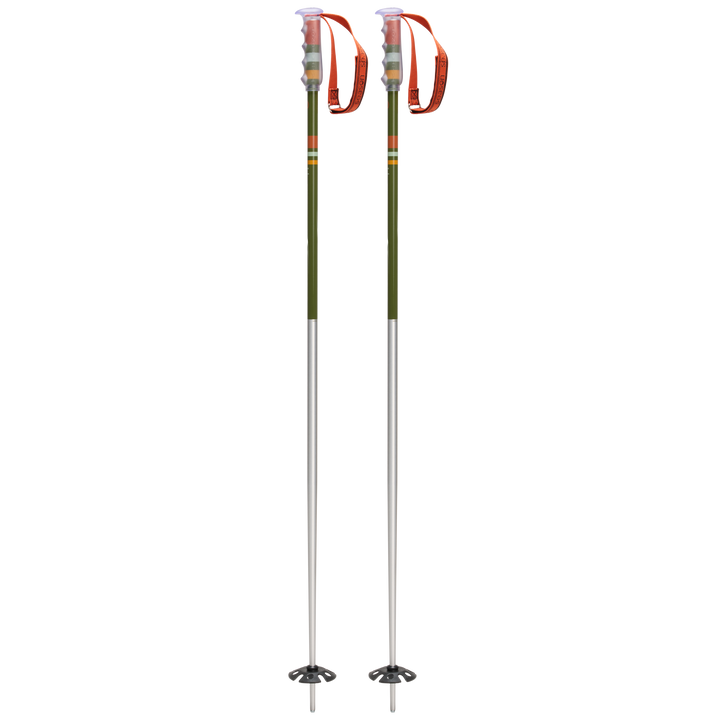 Community Ski Poles