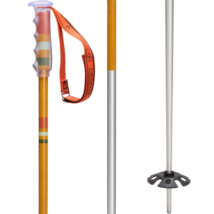 Community Ski Poles