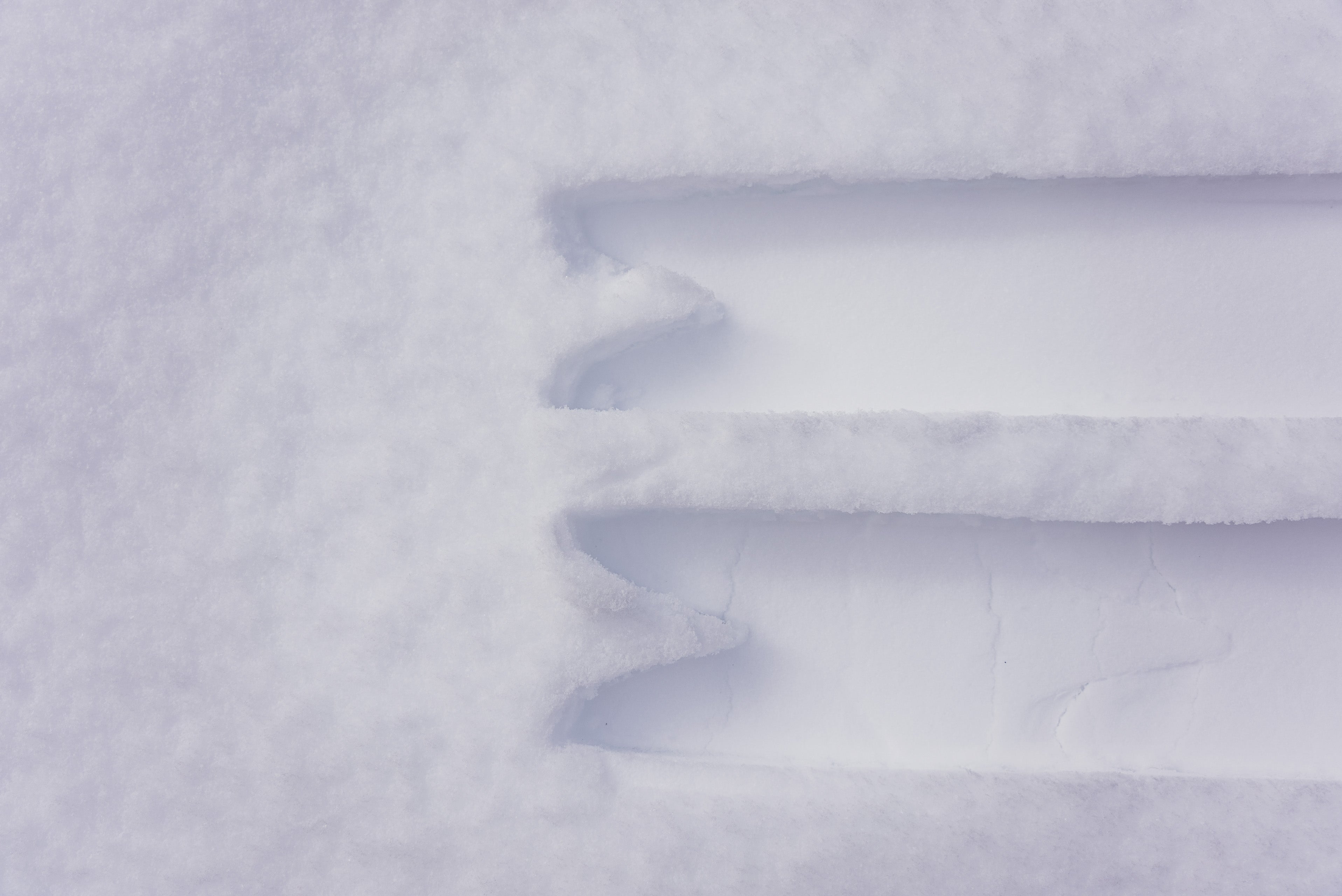 Season Forma Skis | Black | Season Eqpt. | Shaped by Eric