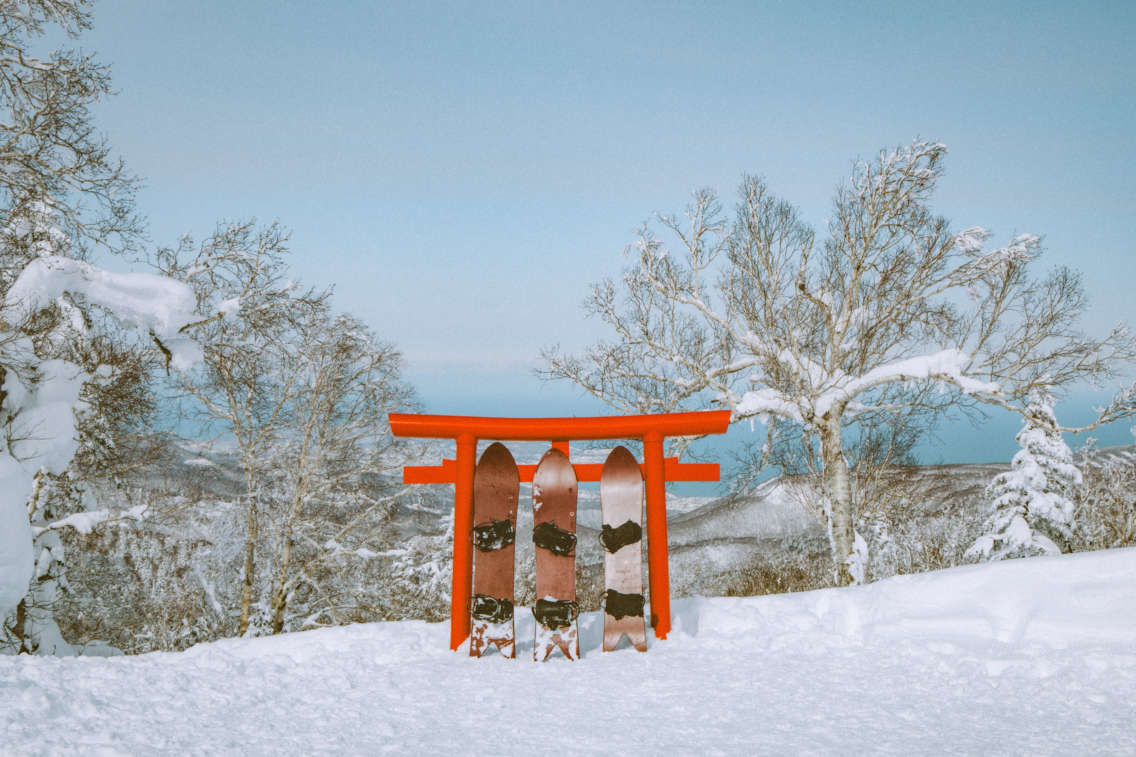 シーズン フォルマ スノーボード |パウダーとカービングに最適な