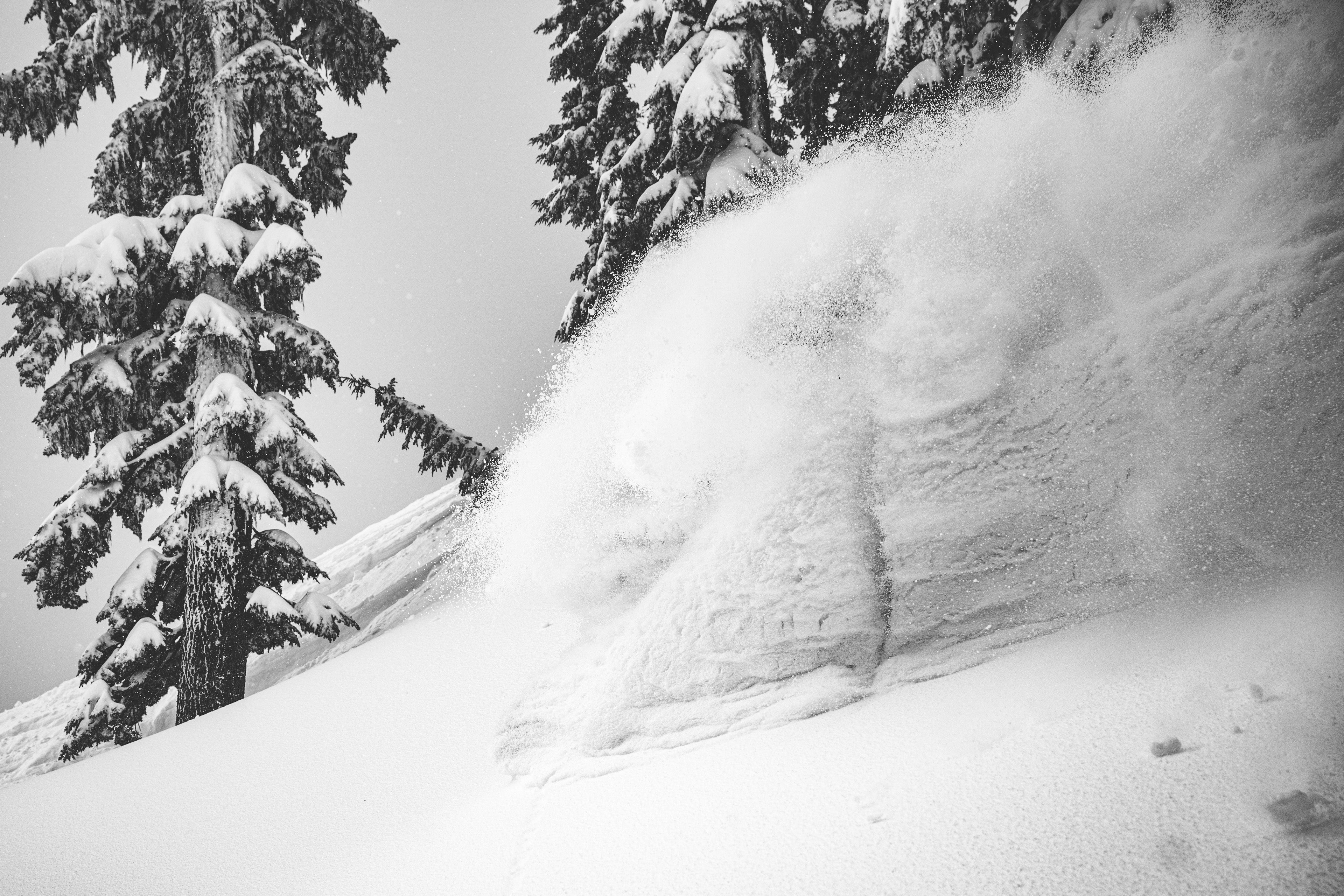 スキー season177 nexus シーズン ネクサス スキー |シーズン eqpt |すべての地形混合雪条件に