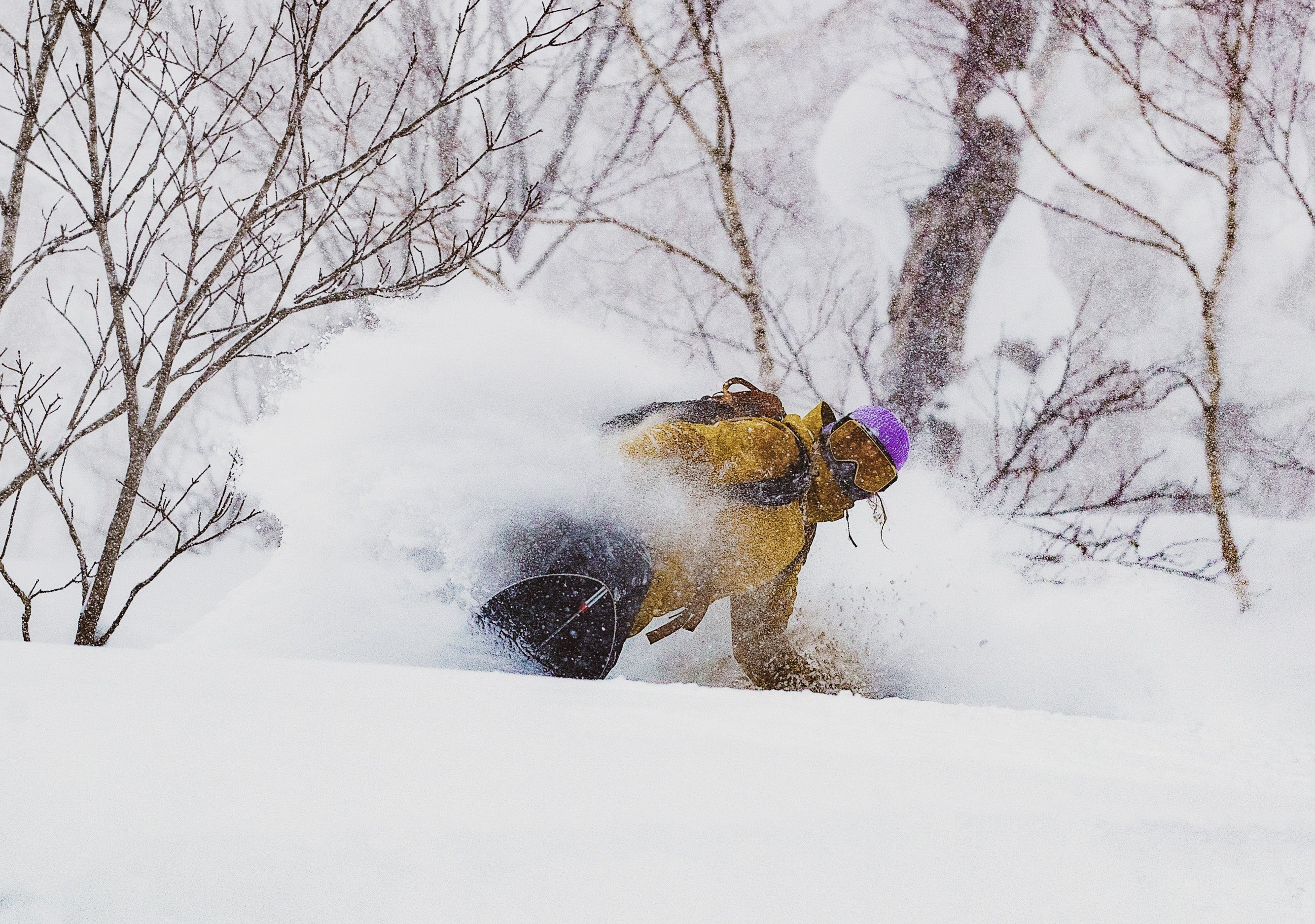 Pass Splitboard and Skins Bundle – Season