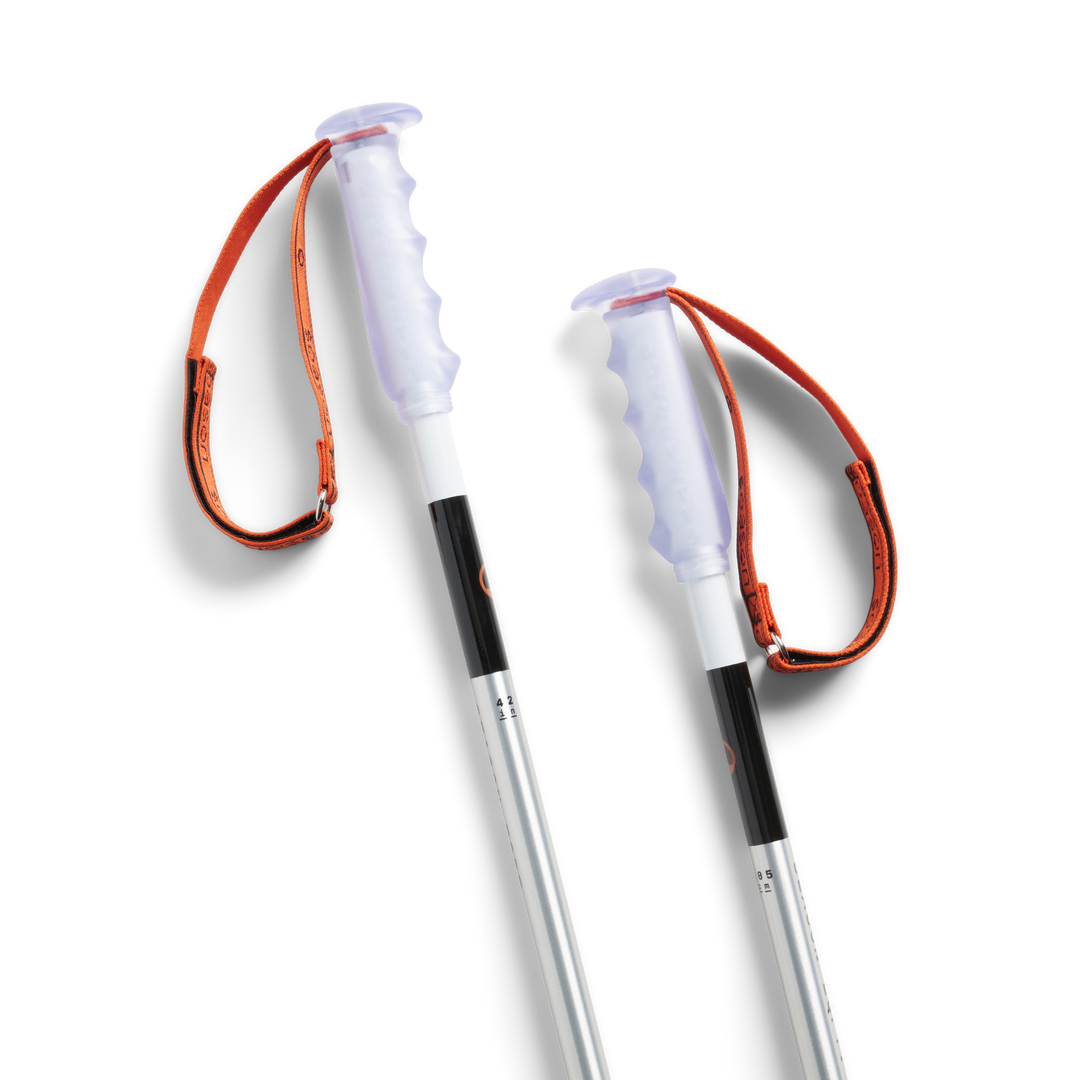 Primer Ski Poles