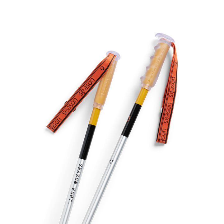 Primer Ski Poles