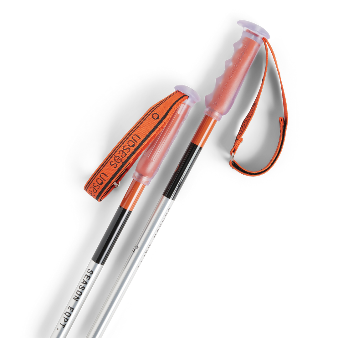 Primer Ski Poles