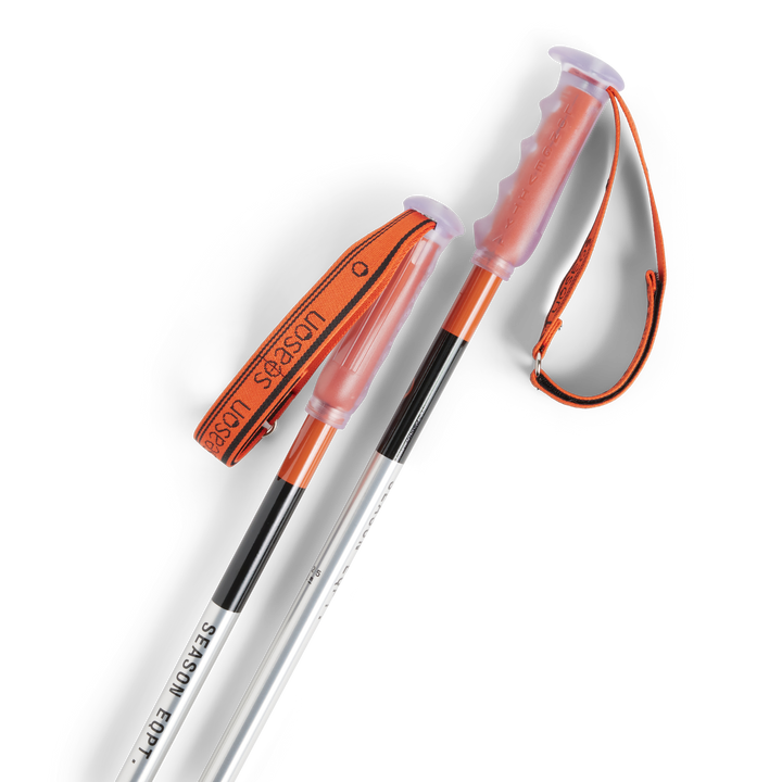 Primer Ski Poles