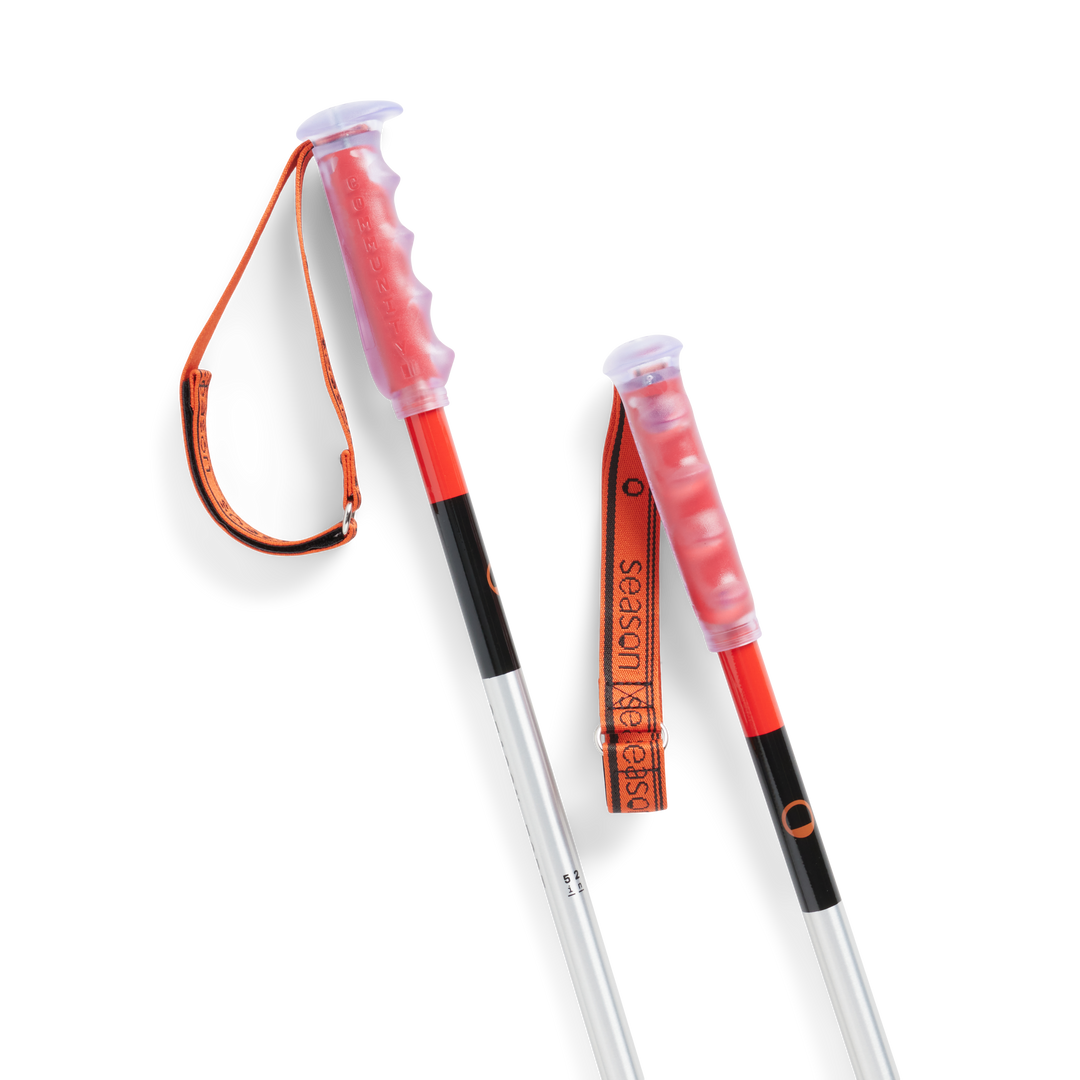 Primer Ski Poles