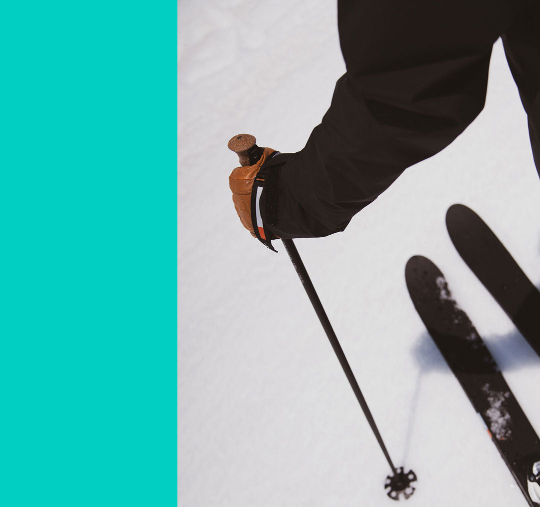 Season Adjustable Ski Poles | black | extendable for more versatility