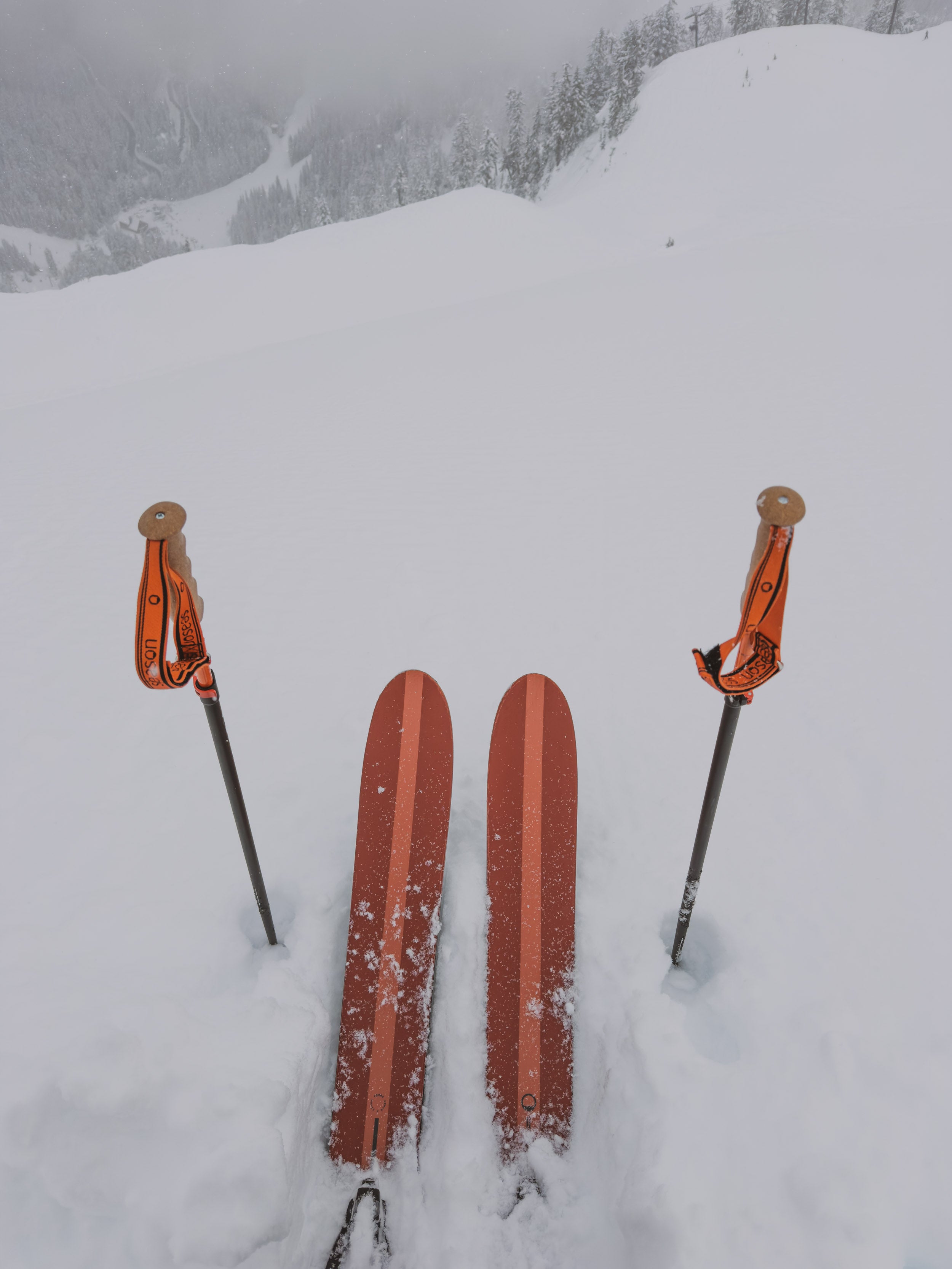 season シーズン　forma フォーマ Season Eqpt Forma Season Forma Skis | Red | Season Eqpt. | Shaped by Eric Pollard