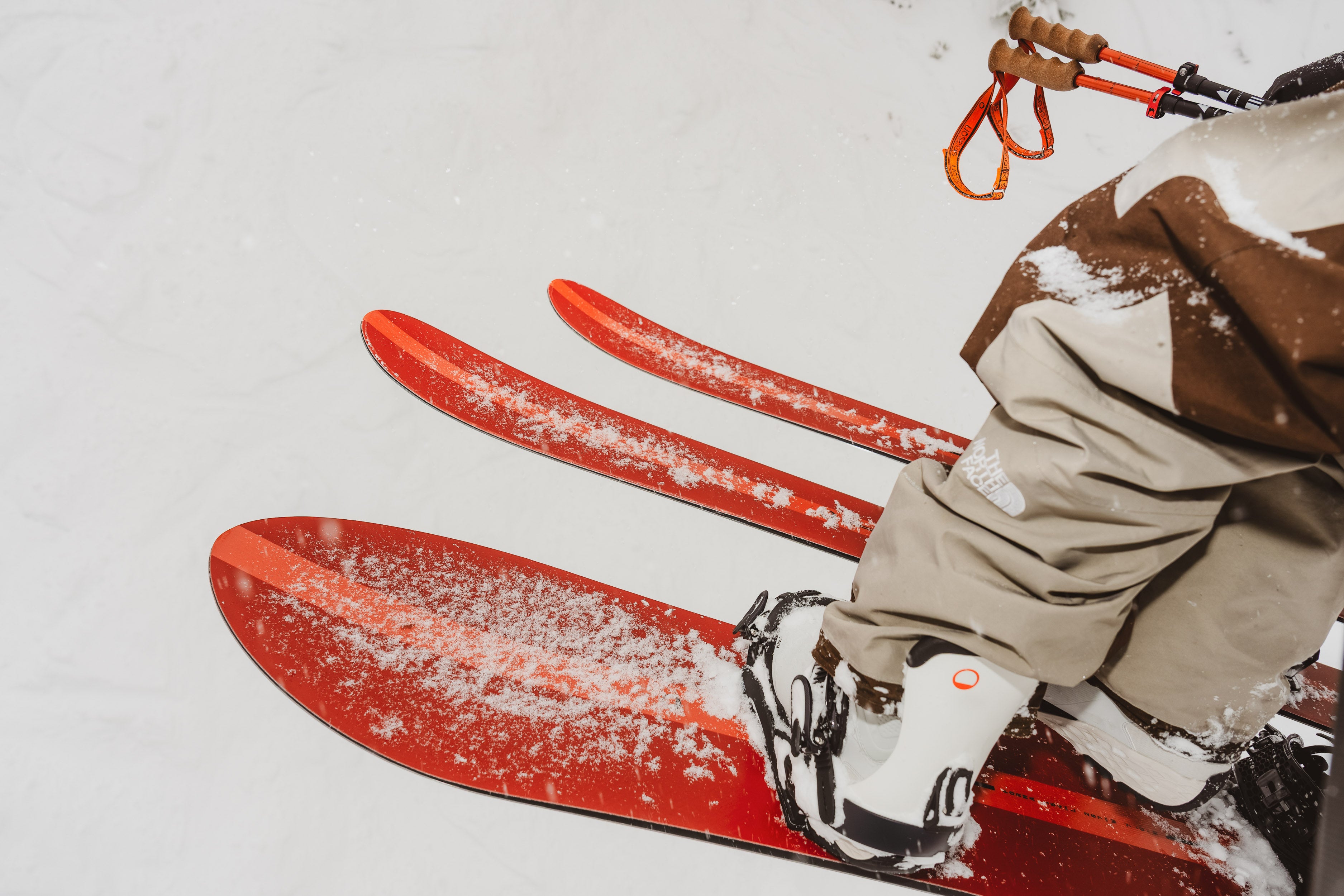 Season Forma Skis | Red | Season Eqpt. | Shaped by Eric Pollard