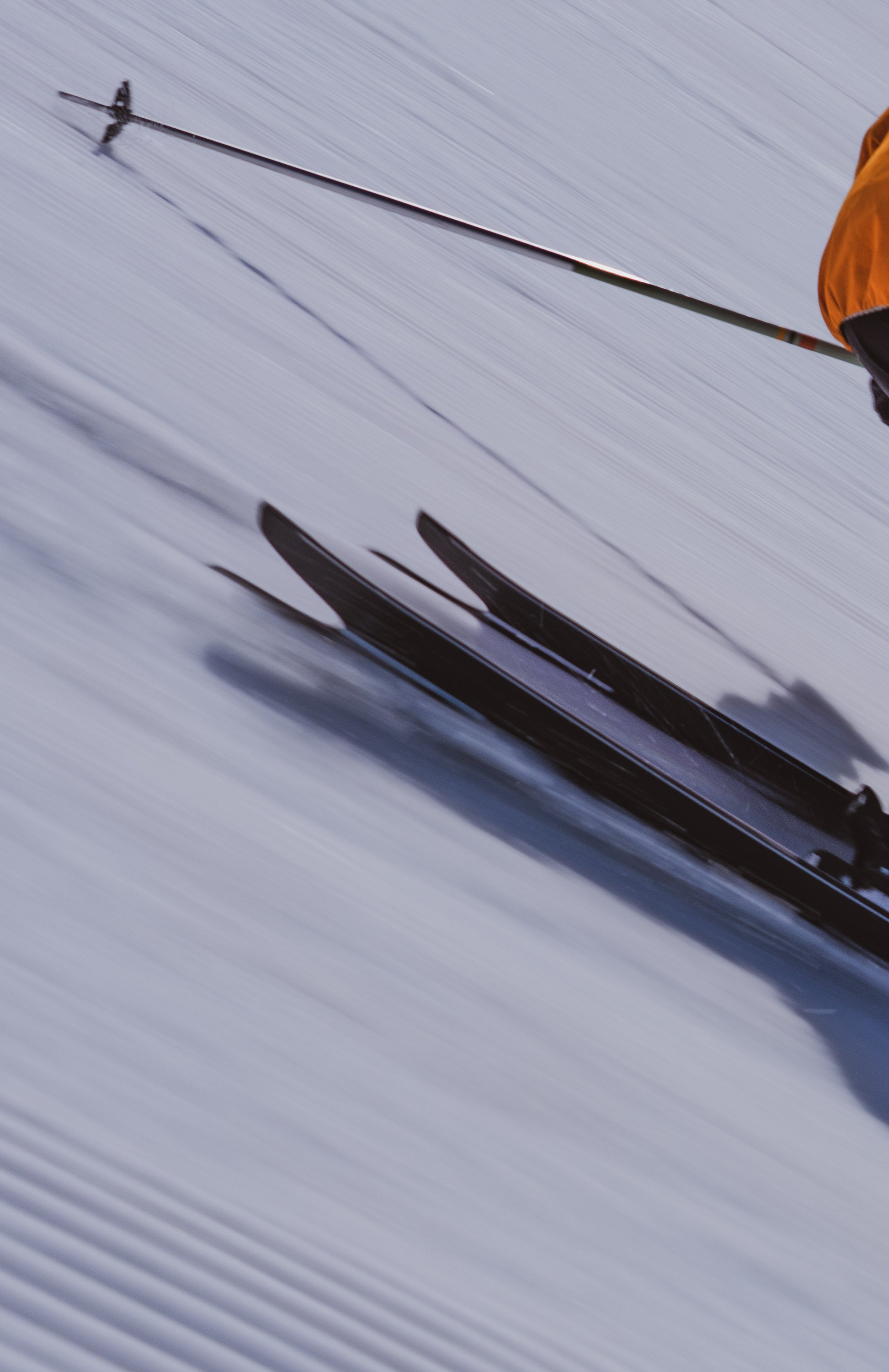 Season Forma Skis | Red | Season Eqpt. | Shaped by Eric Pollard
