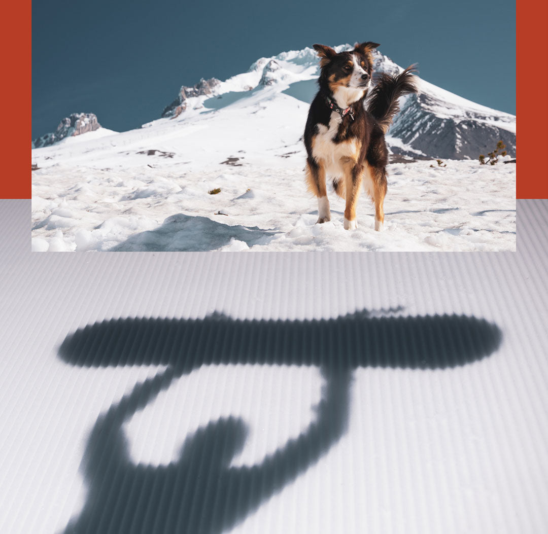 Season Kin Snowboard | Black | Season Eqpt. | The best twin