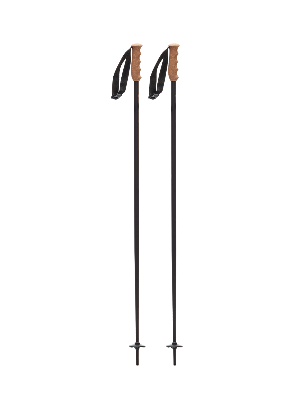 Fixed-length Ski Poles