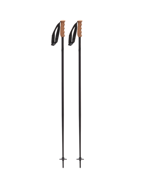 Fixed-length Ski Poles